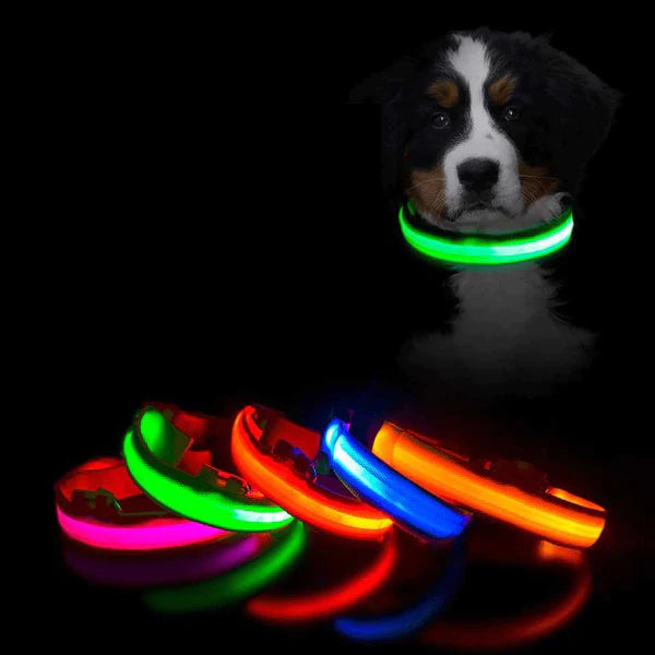 Coleira LED Para Cães e Gatos - Pet Light