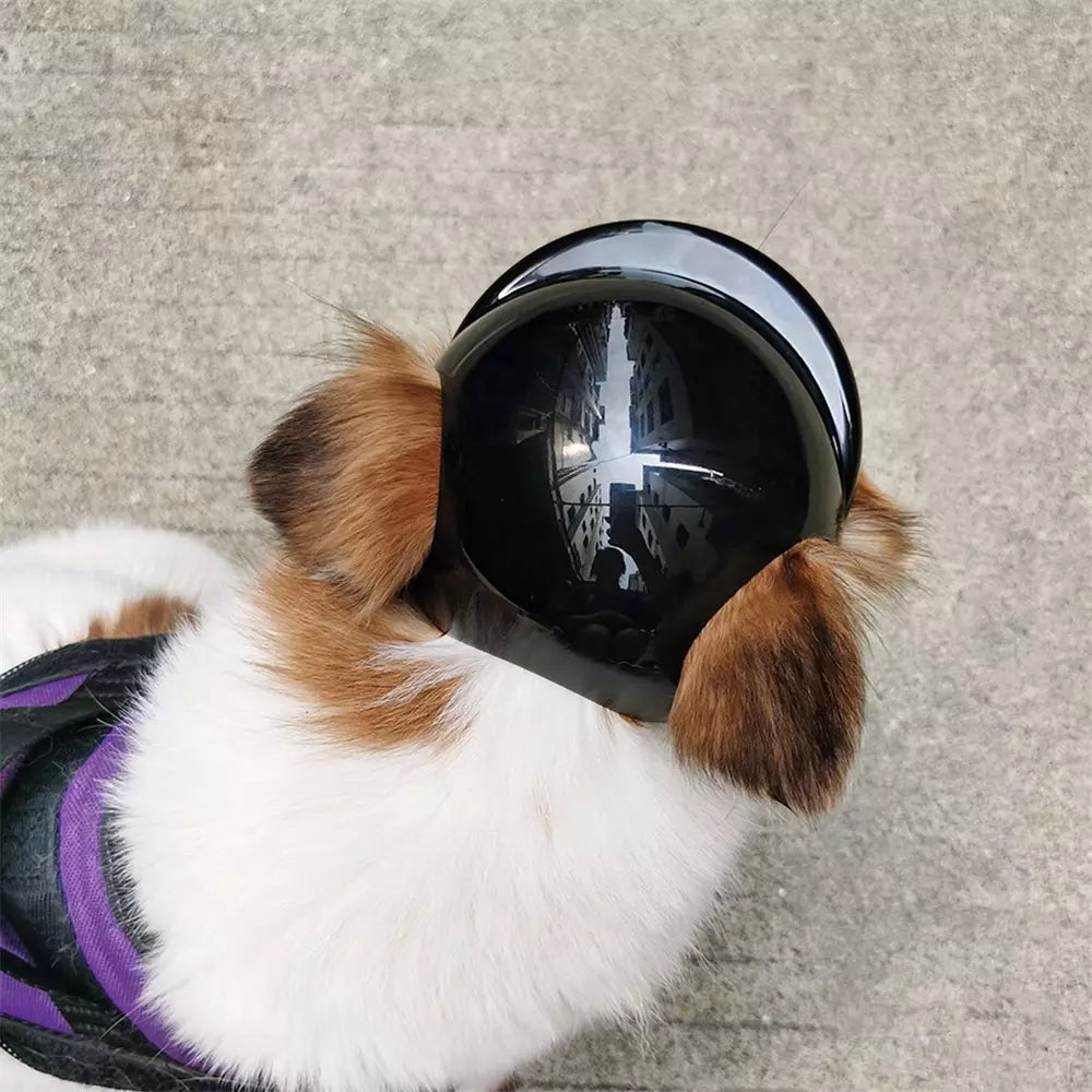 Capacete Premium de Segurança para PET com Espaço para as Orelhas - Gato e Cachorro PET007 Kaypestore 